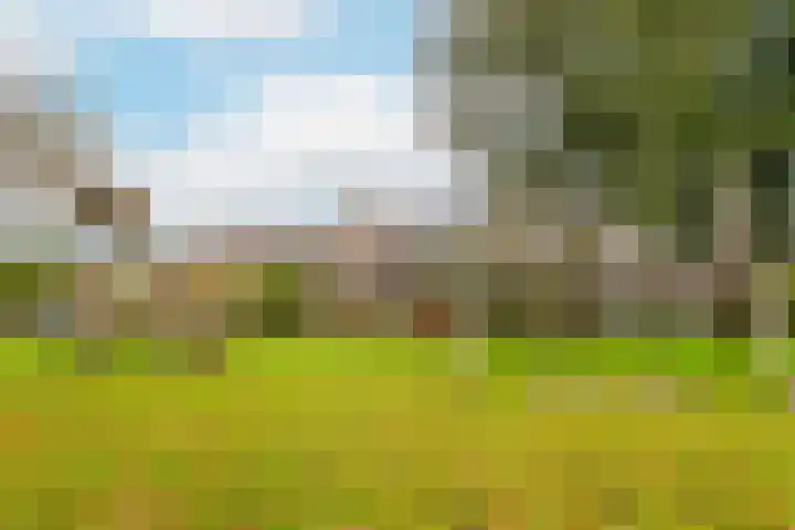 Duivenkamp 193 Maarssen thumbnail 26