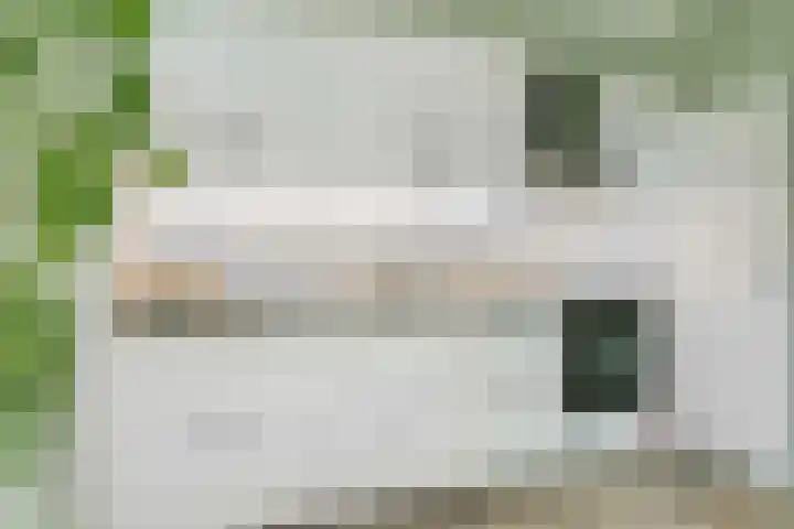 Duivenkamp 193 Maarssen thumbnail 9