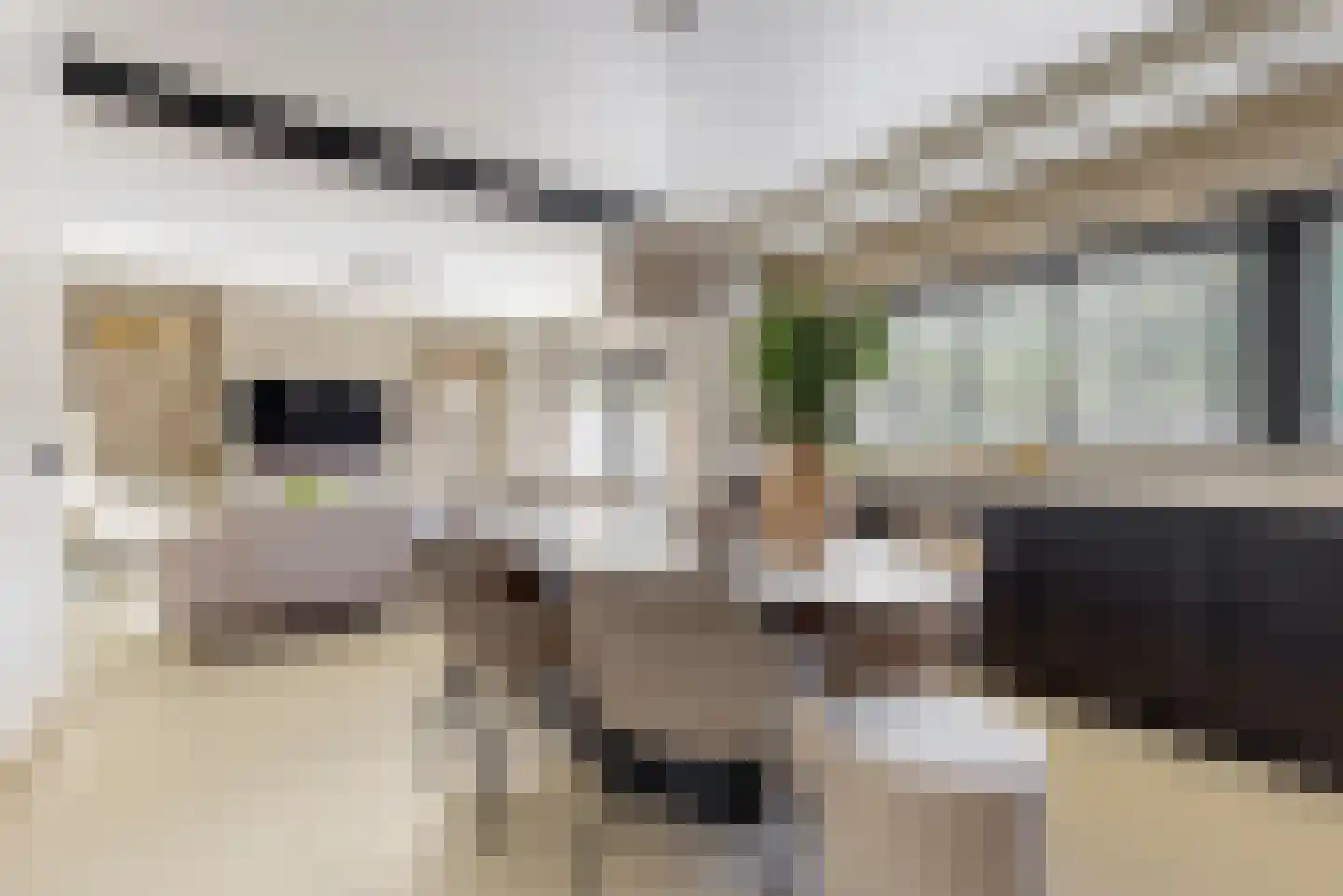 Duivenkamp 215 Maarssen thumbnail 10