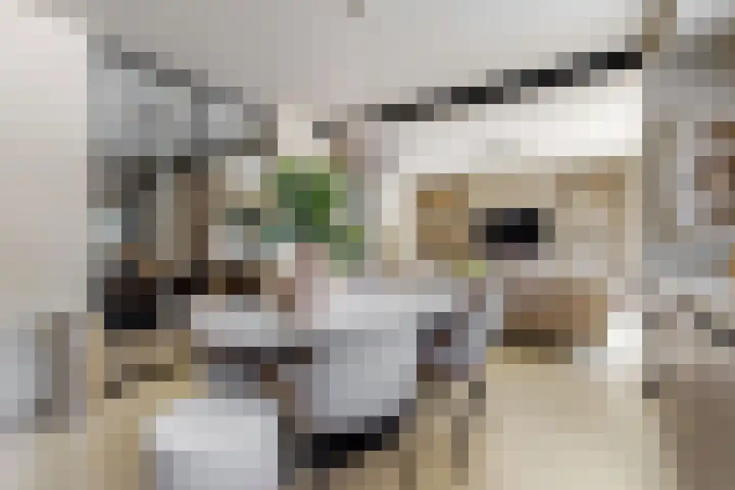 Duivenkamp 215 Maarssen thumbnail 11