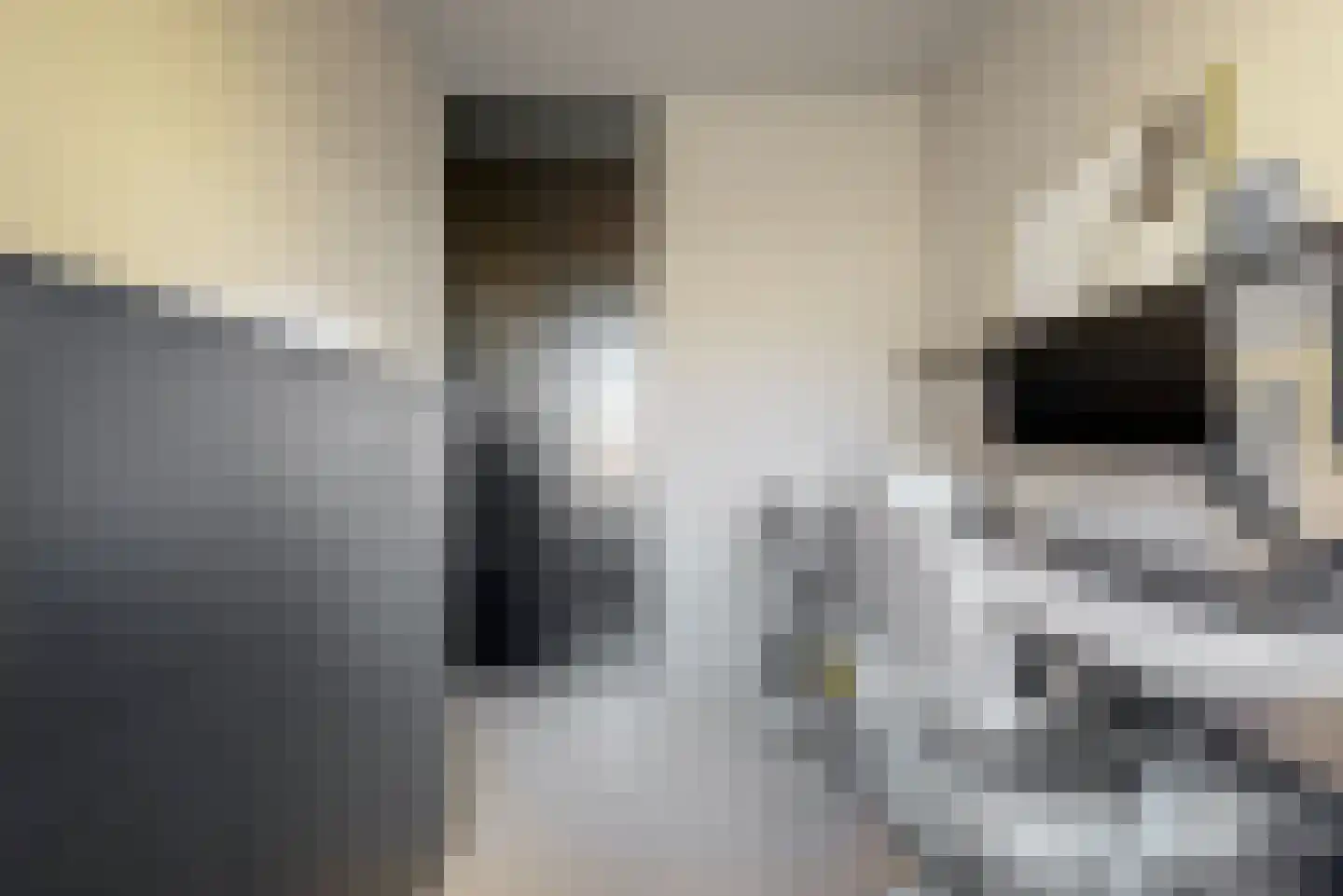 Duivenkamp 215 Maarssen thumbnail 16