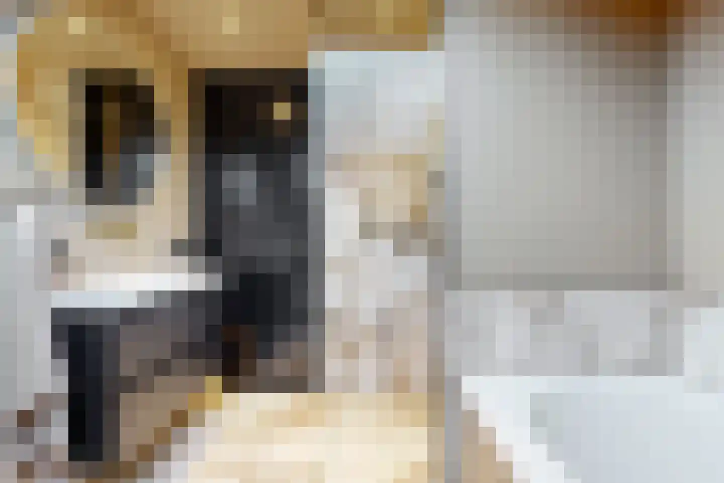 Duivenkamp 215 Maarssen thumbnail 27