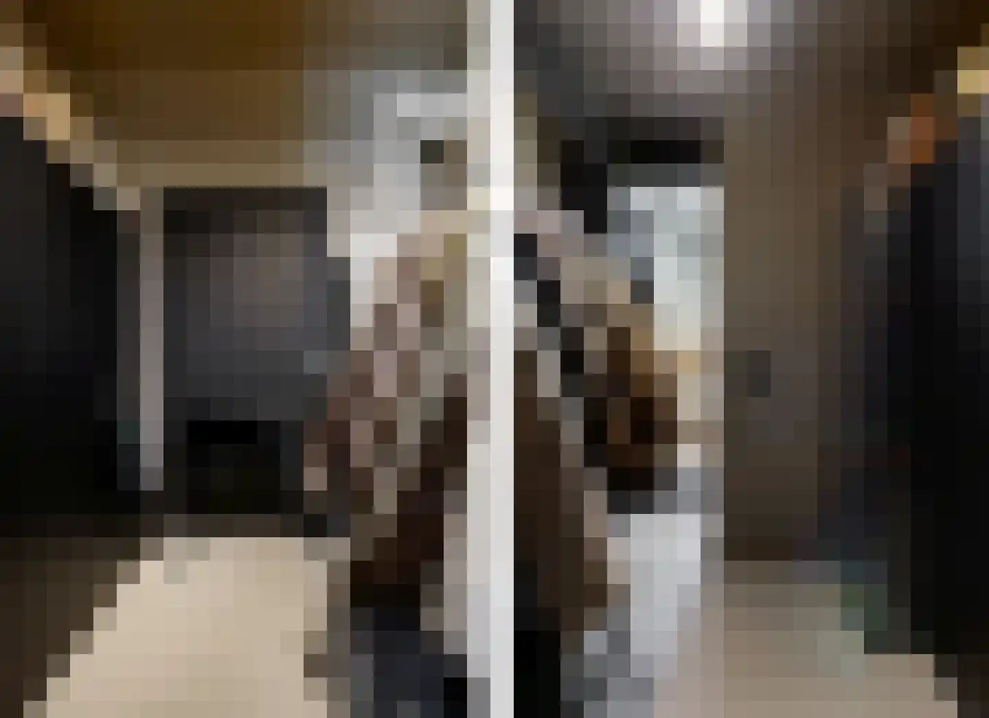 Duivenkamp 215 Maarssen thumbnail 29