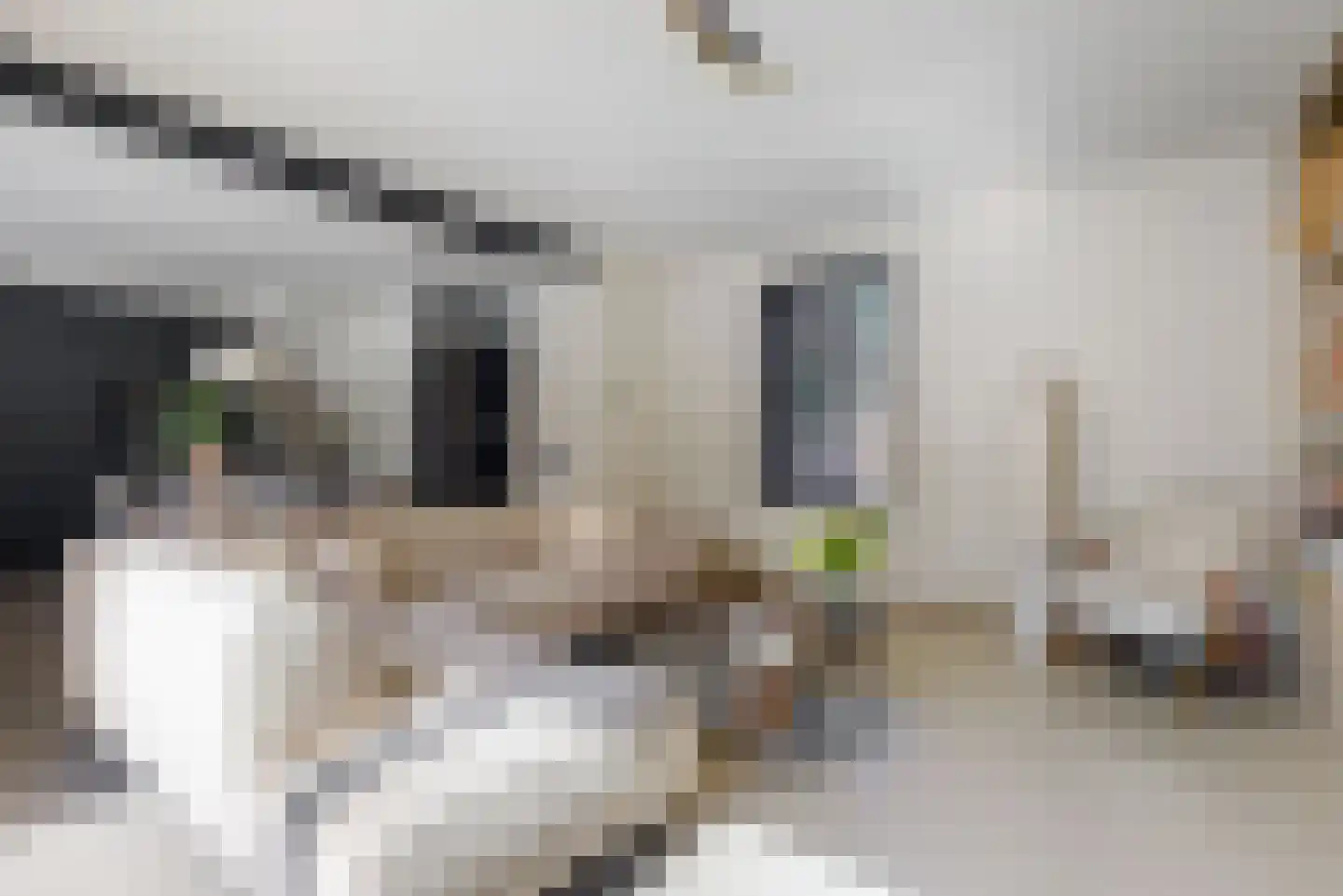 Duivenkamp 215 Maarssen thumbnail 5