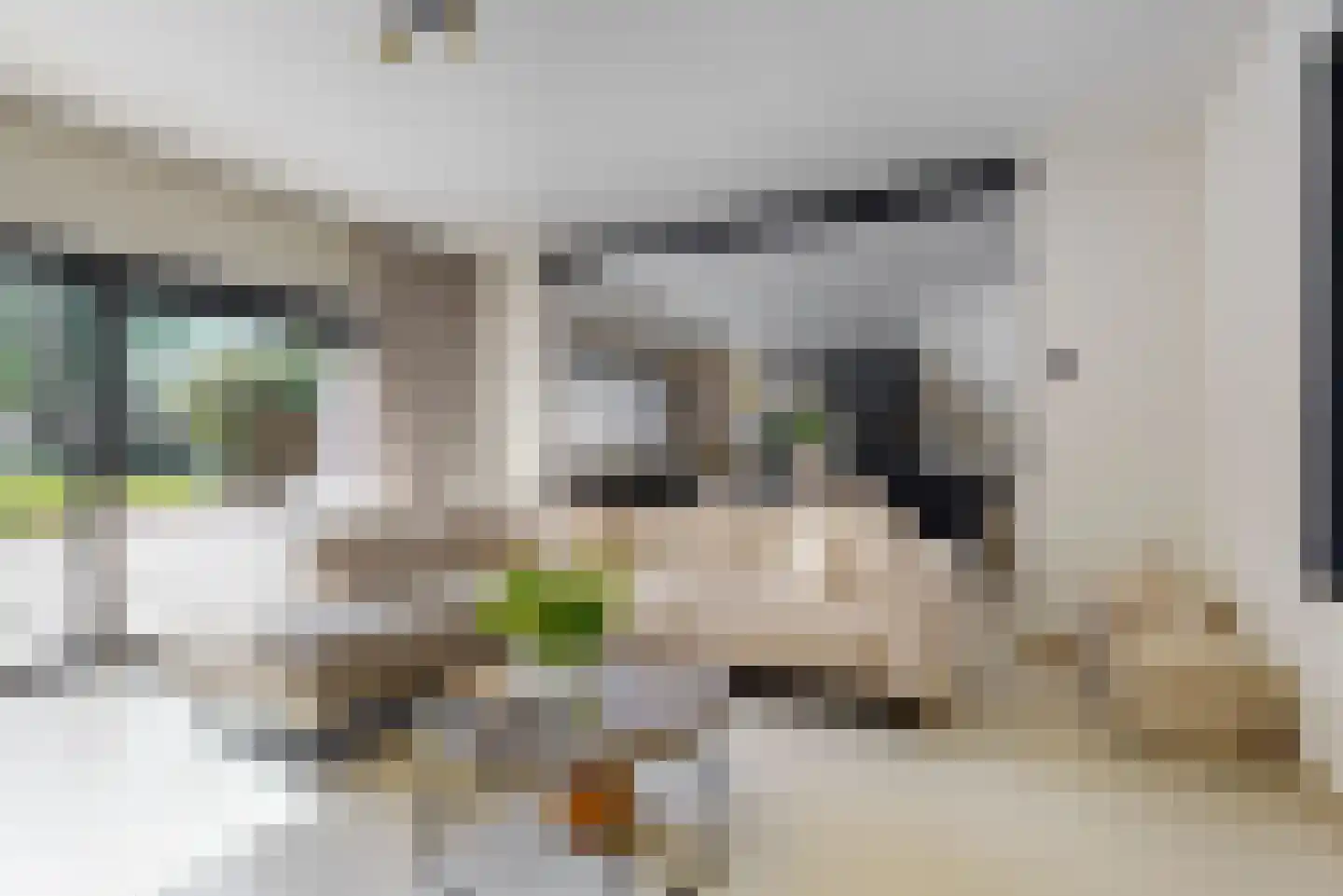 Duivenkamp 215 Maarssen thumbnail 6
