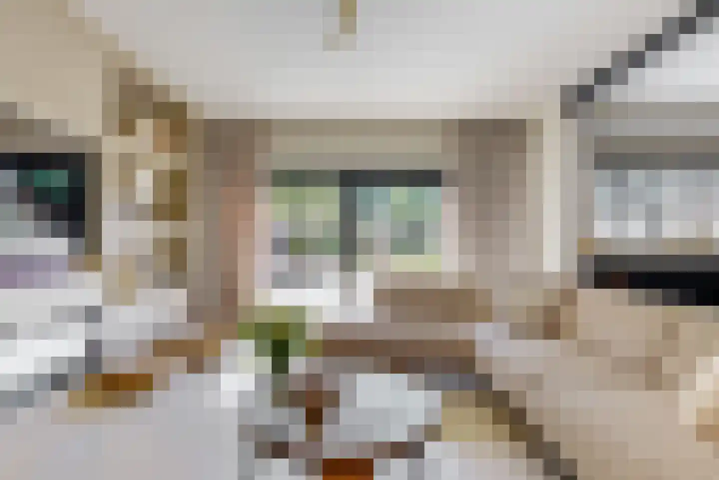Duivenkamp 215 Maarssen thumbnail 7