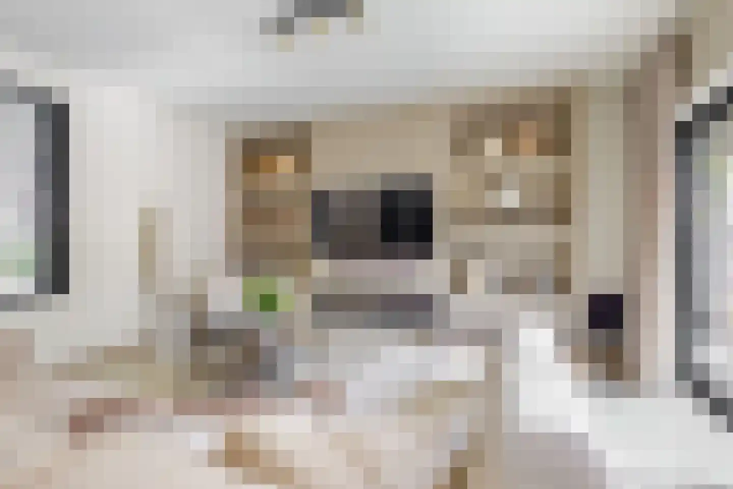 Duivenkamp 215 Maarssen thumbnail 8