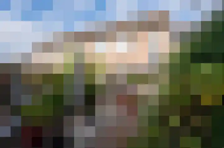 Duivenkamp 263 Maarssen thumbnail 37