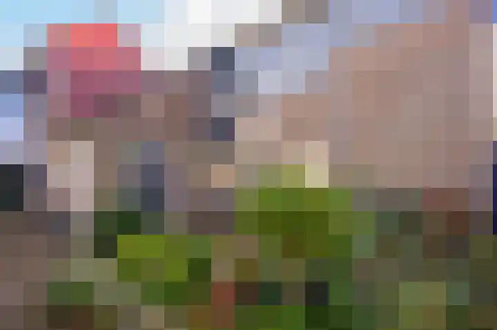 Duivenkamp 263 Maarssen thumbnail 9