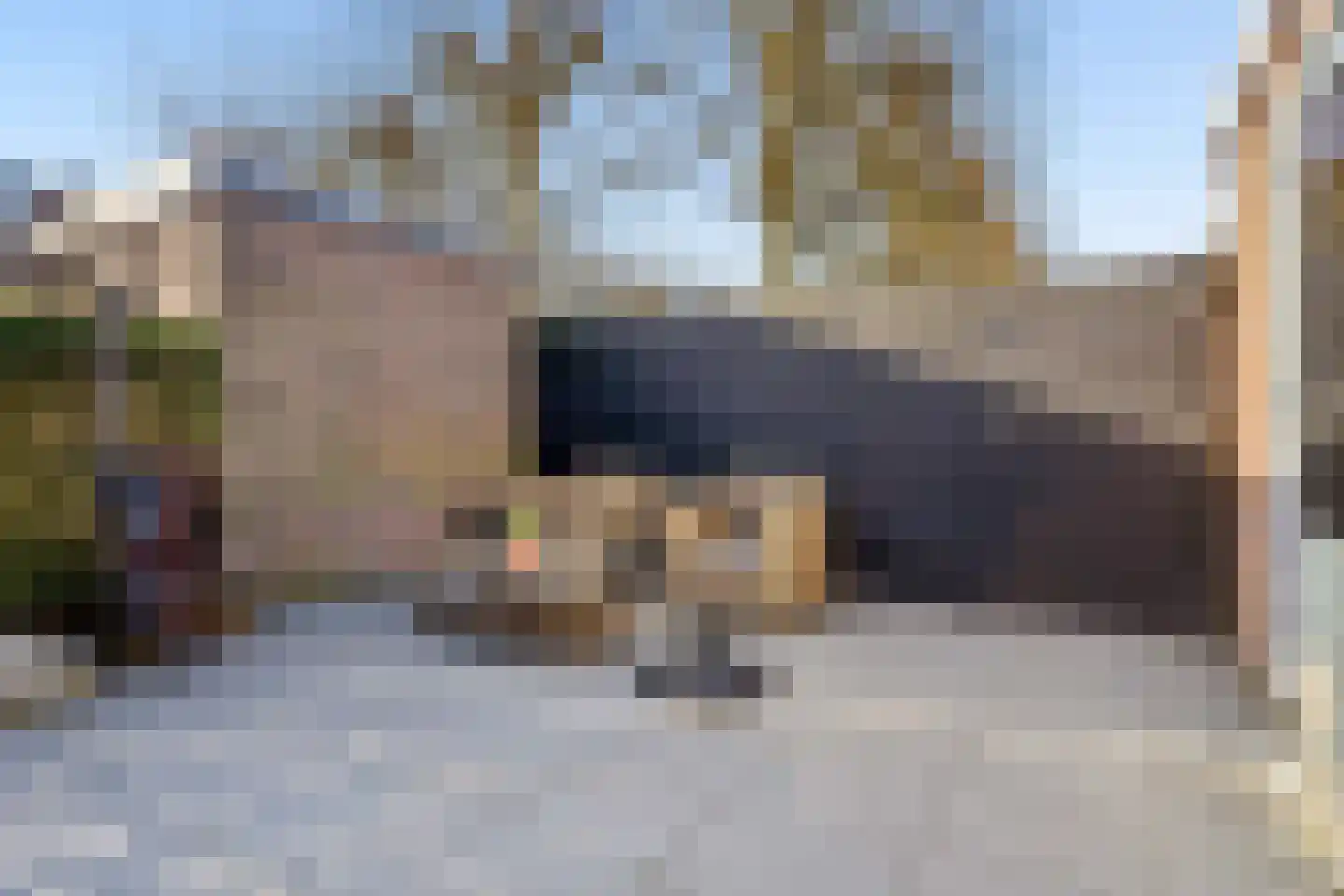 Duivenkamp 290 Maarssen thumbnail 10