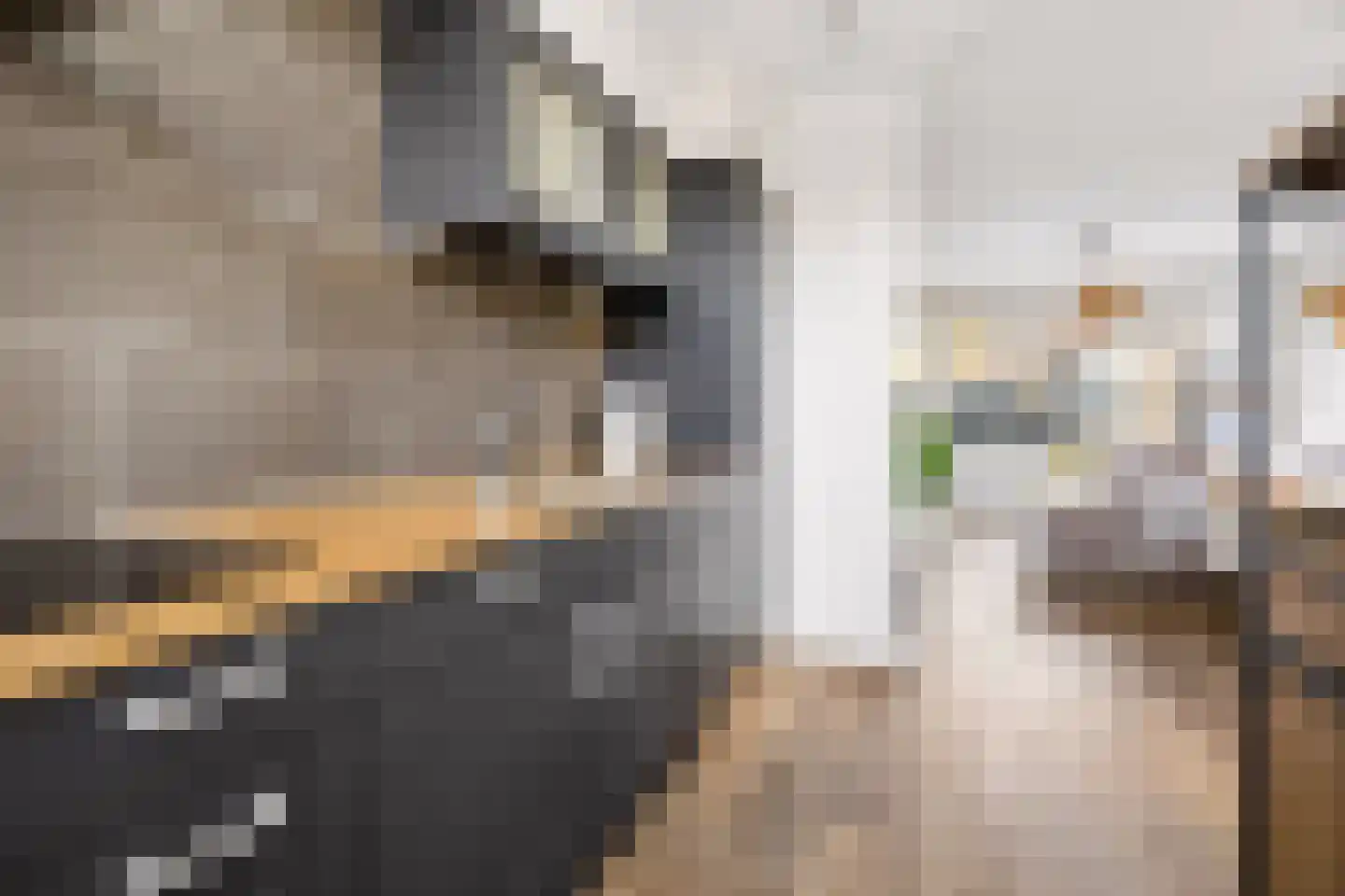 Duivenkamp 290 Maarssen thumbnail 17