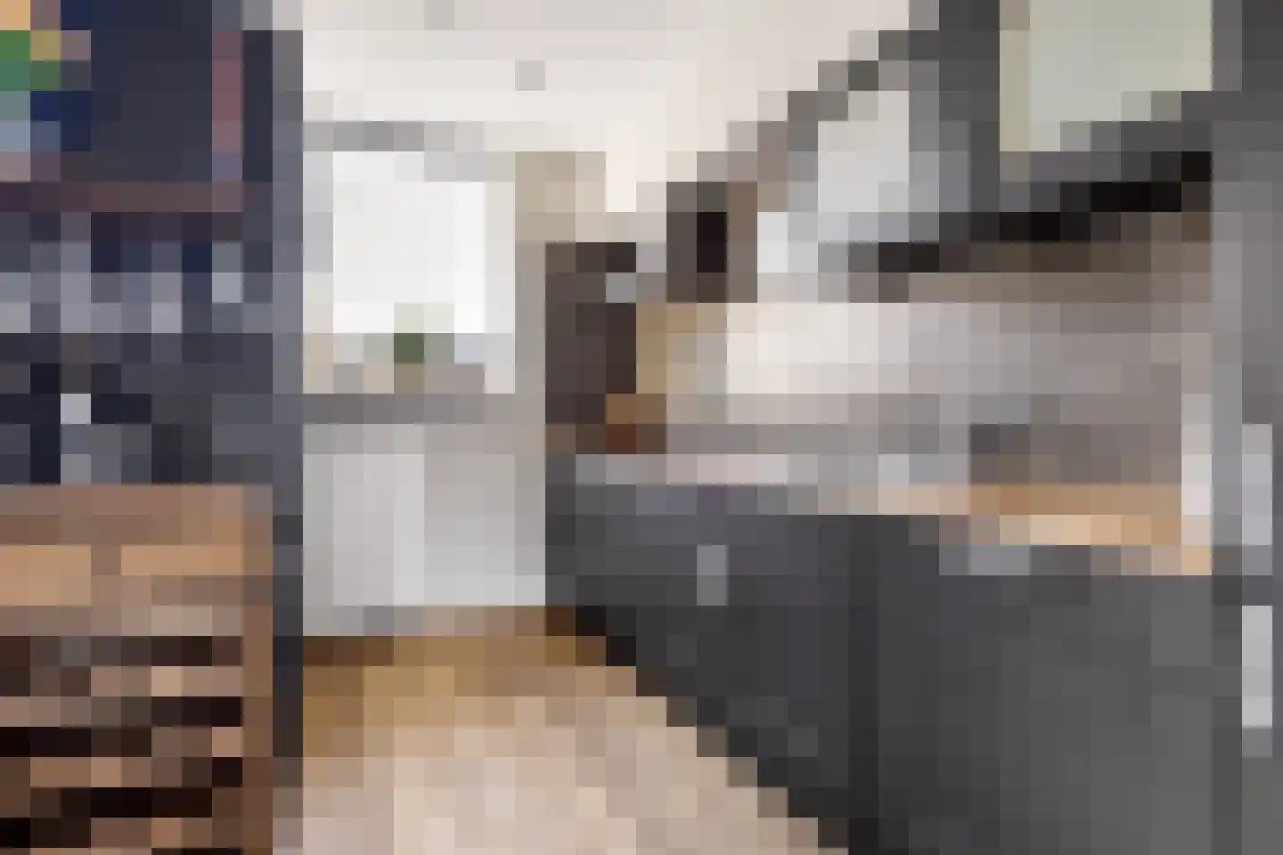 Duivenkamp 290 Maarssen thumbnail 18