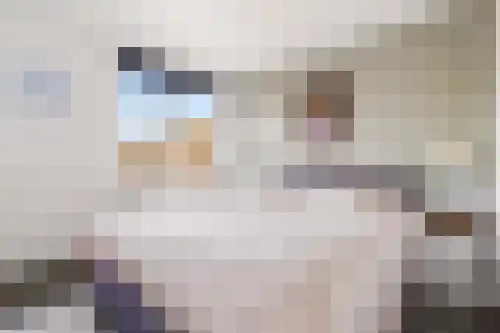 Duivenkamp 290 Maarssen thumbnail 21