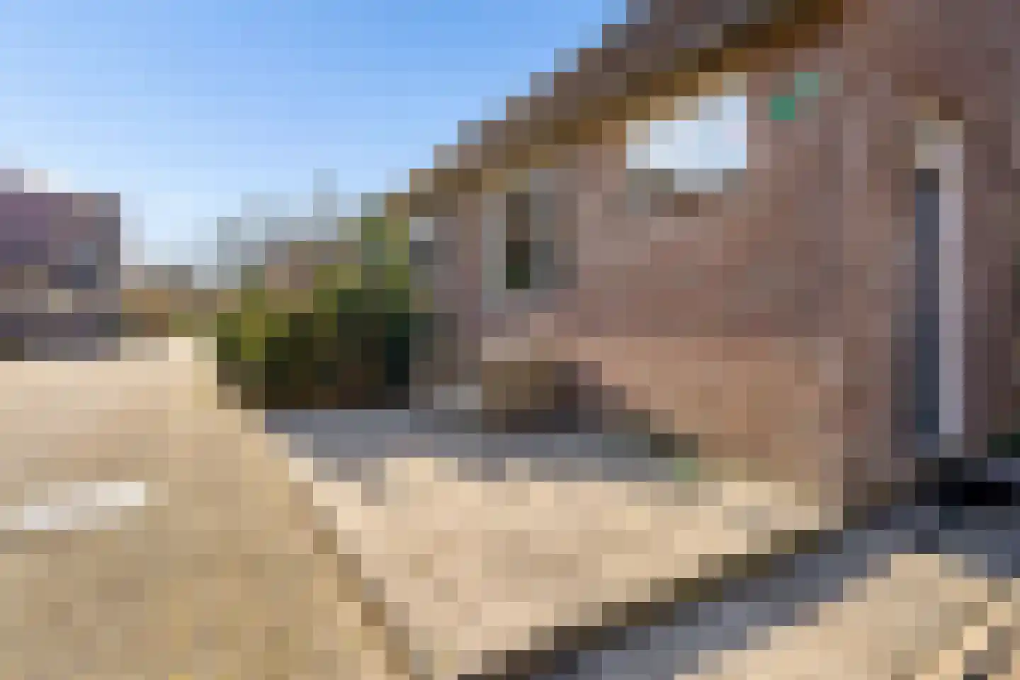 Duivenkamp 290 Maarssen thumbnail 34