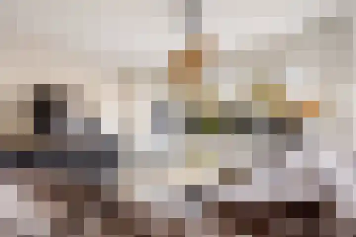 Duivenkamp 290 Maarssen thumbnail 6