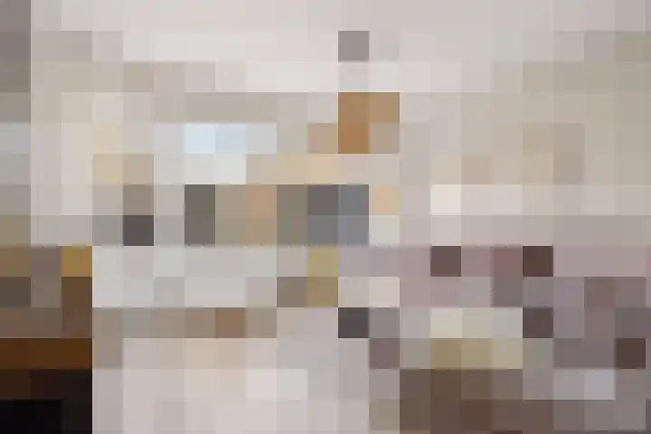 Duivenkamp 290 Maarssen thumbnail 7