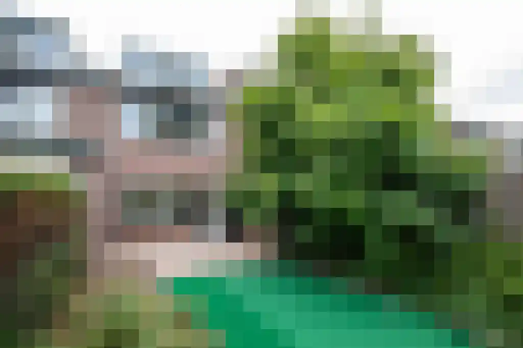 Duivenkamp 3 Maarssen