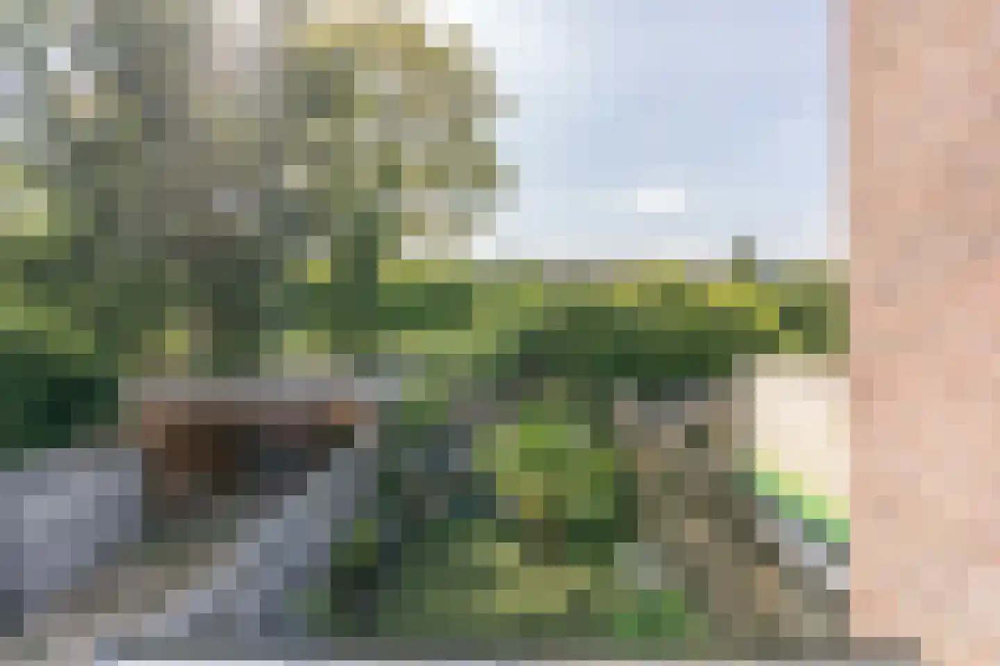 Duivenkamp 305 Maarssen thumbnail 27