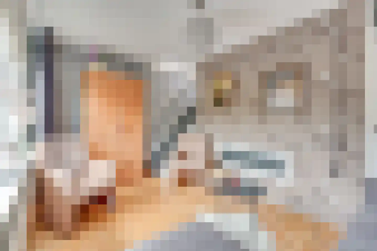 Duivenkamp 305 Maarssen thumbnail 33