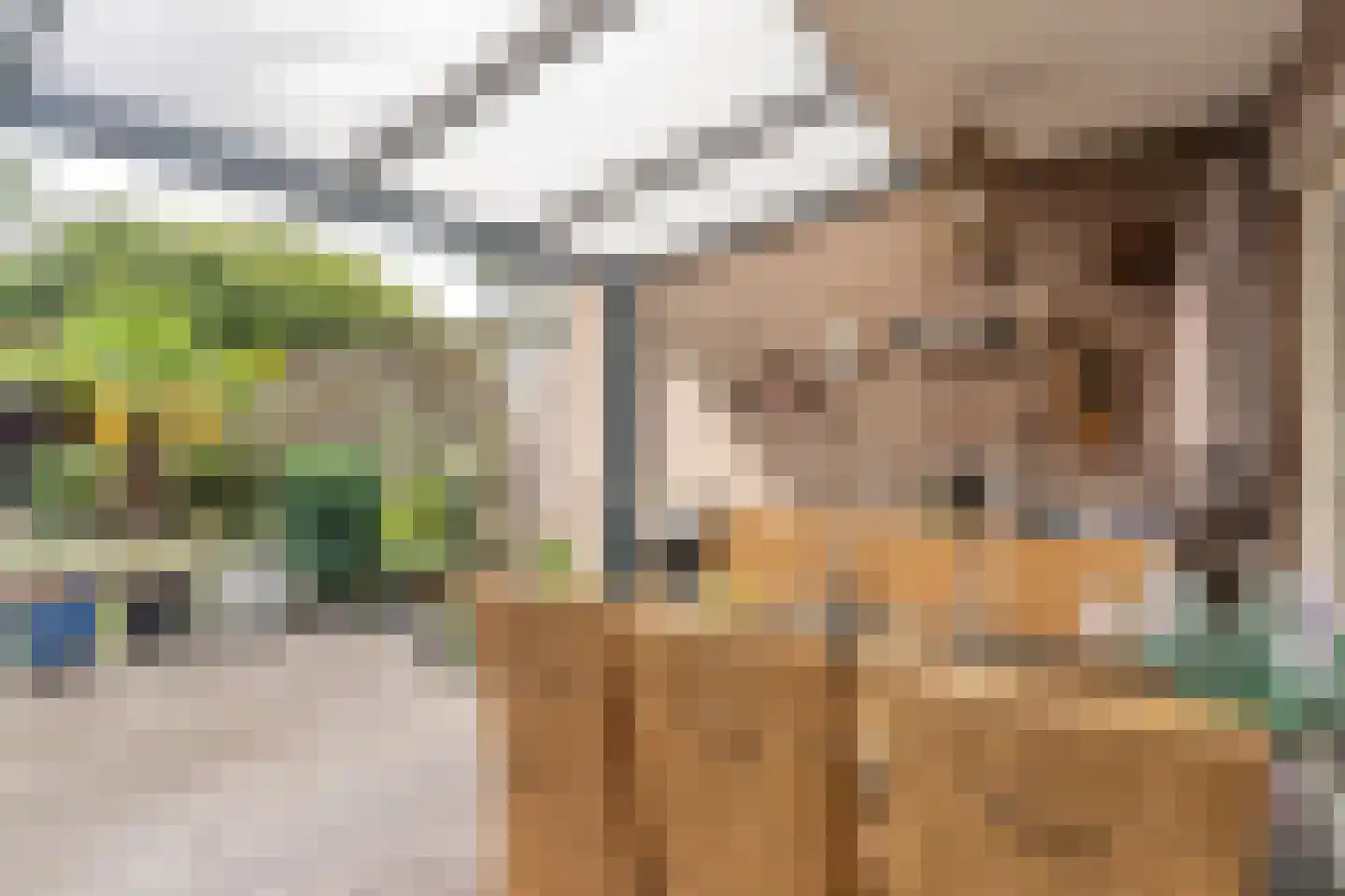 Duivenkamp 305 Maarssen thumbnail 36