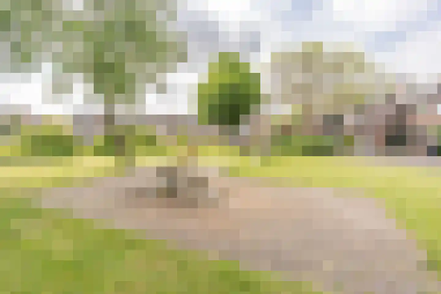 Duivenkamp 305 Maarssen thumbnail 67