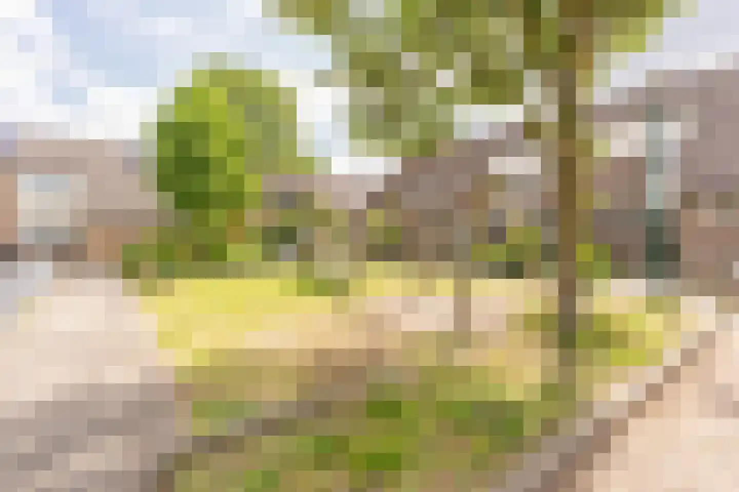 Duivenkamp 305 Maarssen thumbnail 68