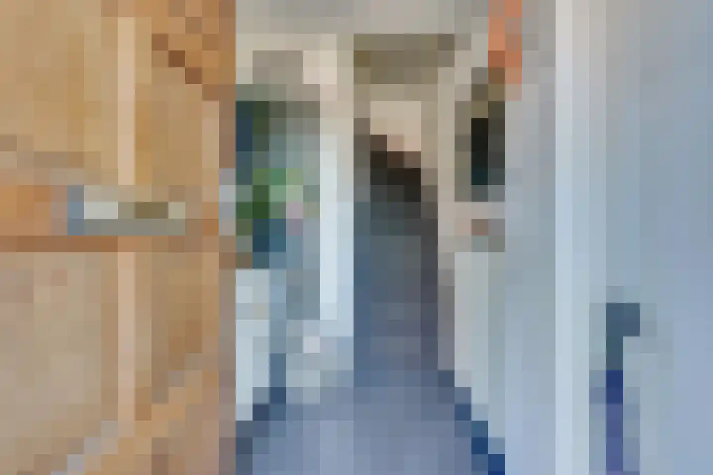 Duivenkamp 305 Maarssen thumbnail 9
