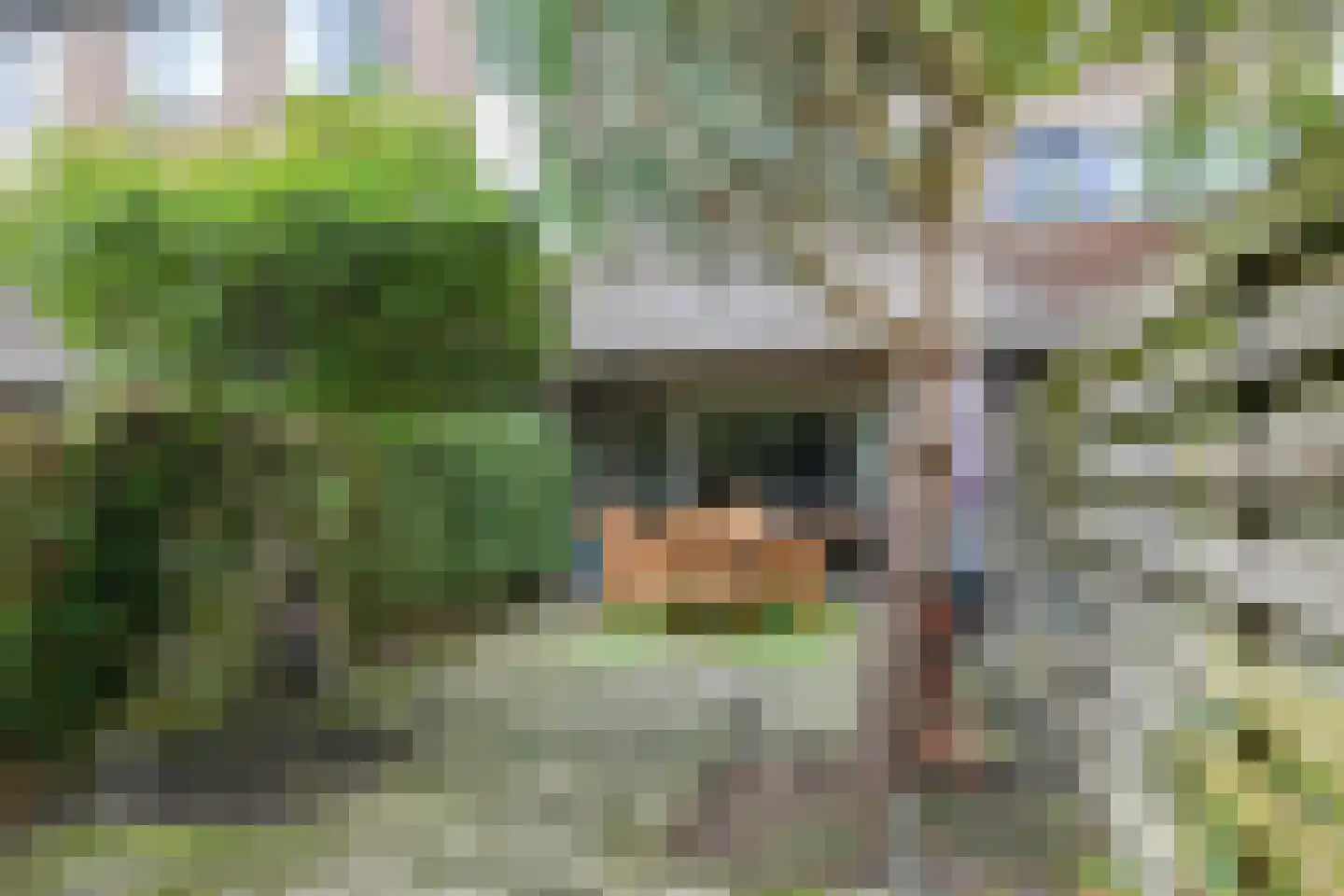 Duivenkamp 316 Maarssen thumbnail 19