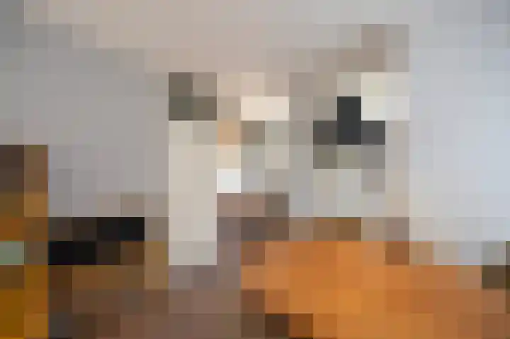Duivenkamp 332 Maarssen thumbnail 19