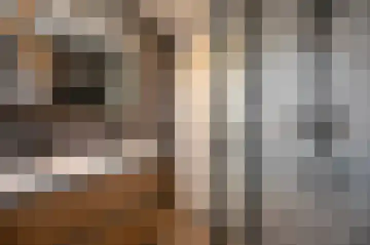 Duivenkamp 332 Maarssen thumbnail 22