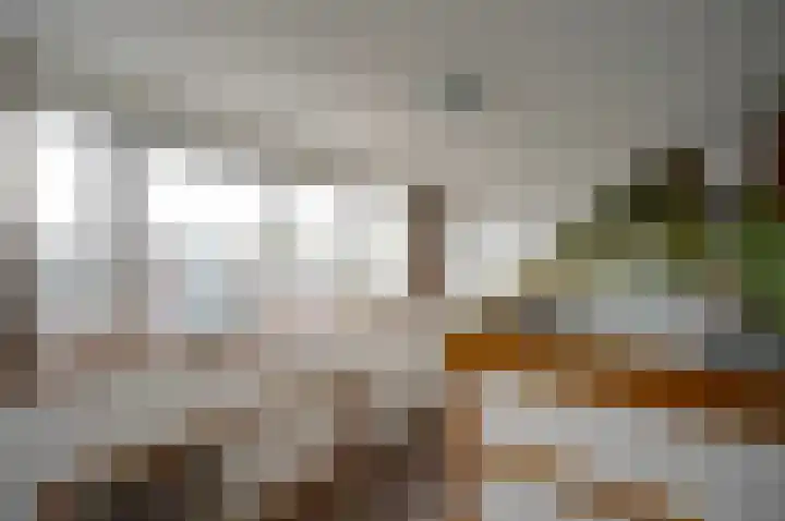 Duivenkamp 332 Maarssen thumbnail 30