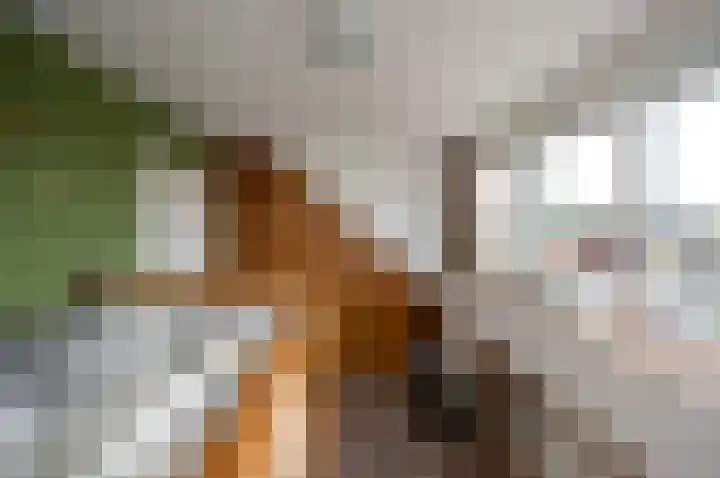 Duivenkamp 332 Maarssen thumbnail 31