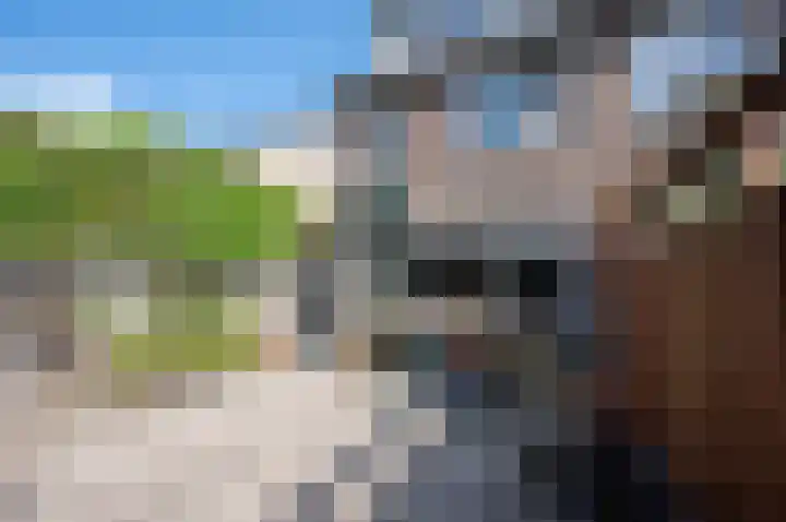 Duivenkamp 332 Maarssen thumbnail 32
