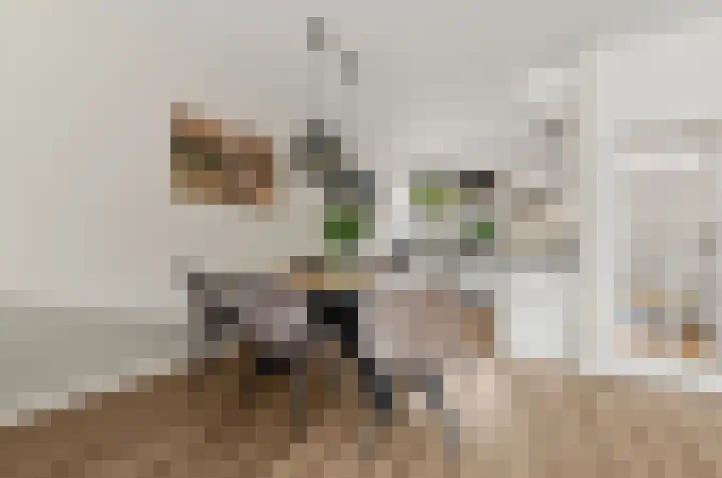 Duivenkamp 355 Maarssen thumbnail 10