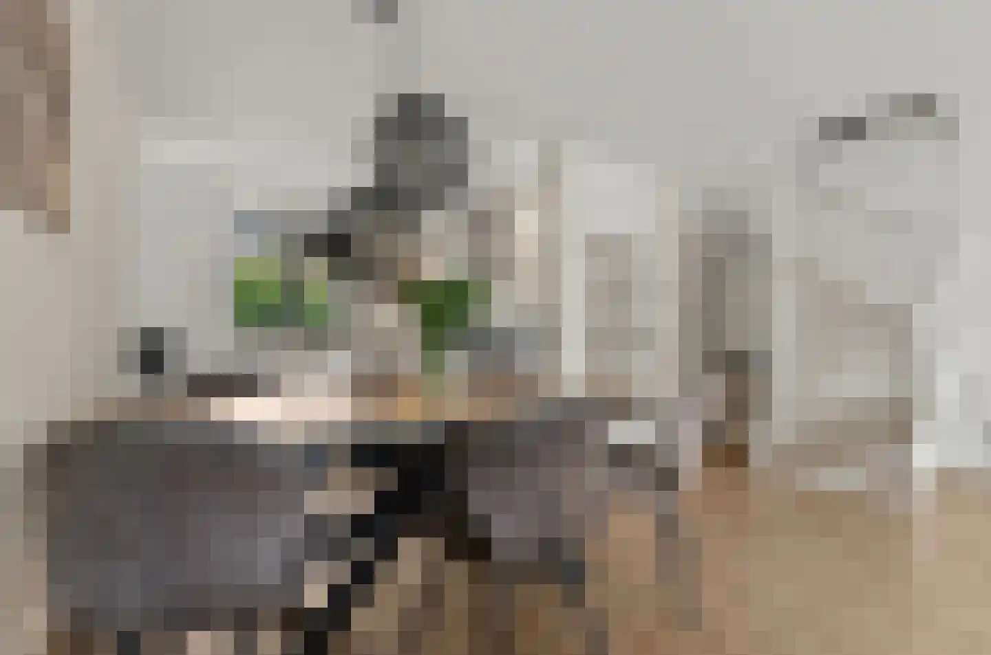 Duivenkamp 355 Maarssen thumbnail 11