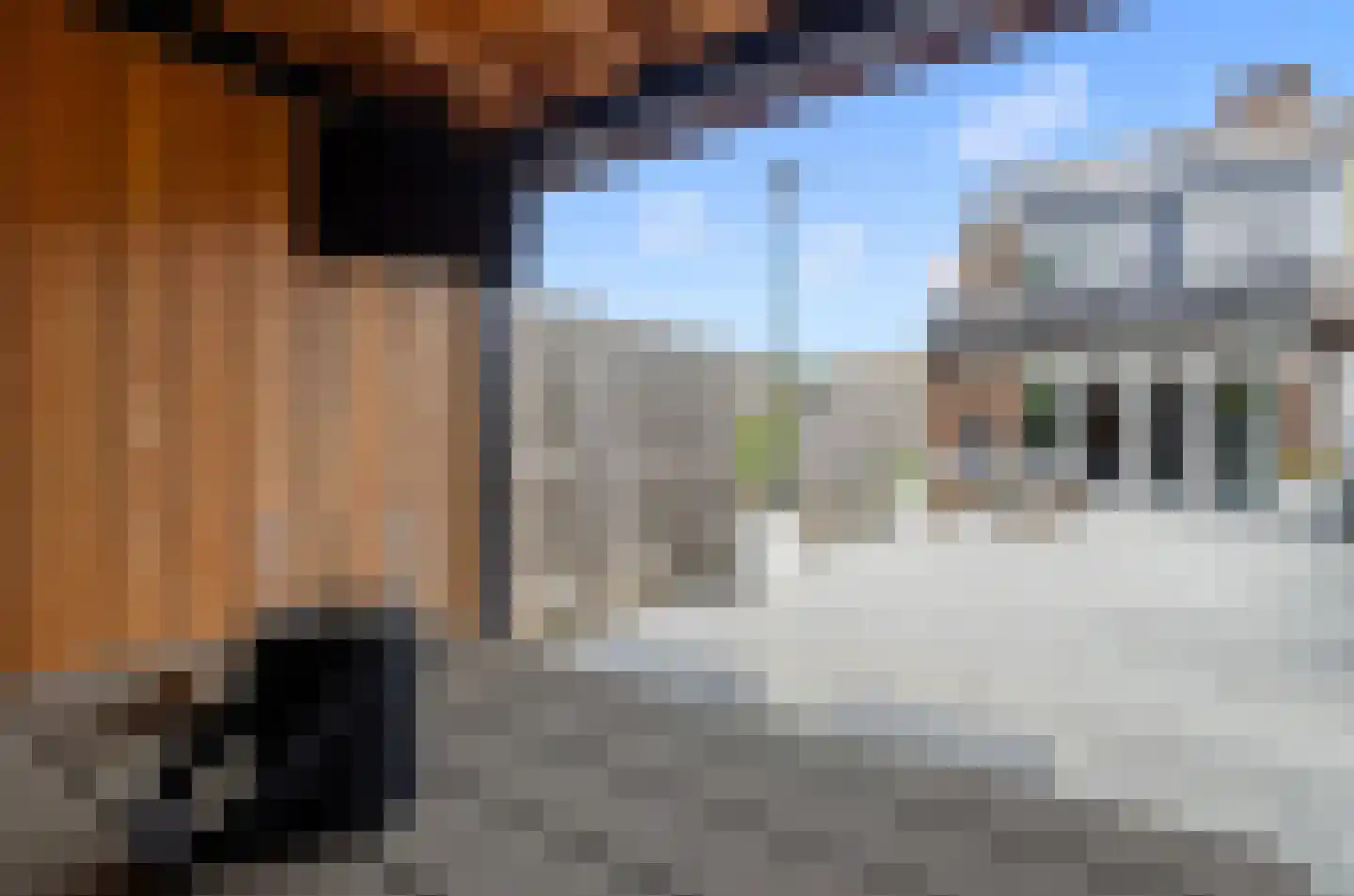 Duivenkamp 355 Maarssen thumbnail 24
