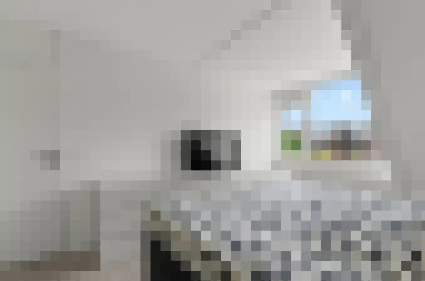 Duivenkamp 355 Maarssen thumbnail 30