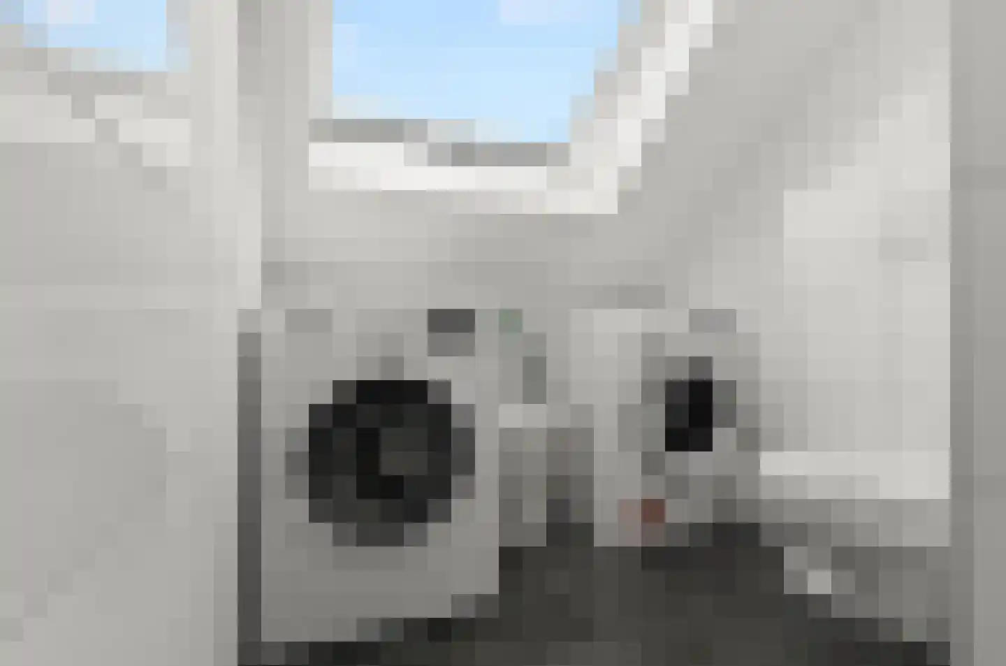 Duivenkamp 355 Maarssen thumbnail 35