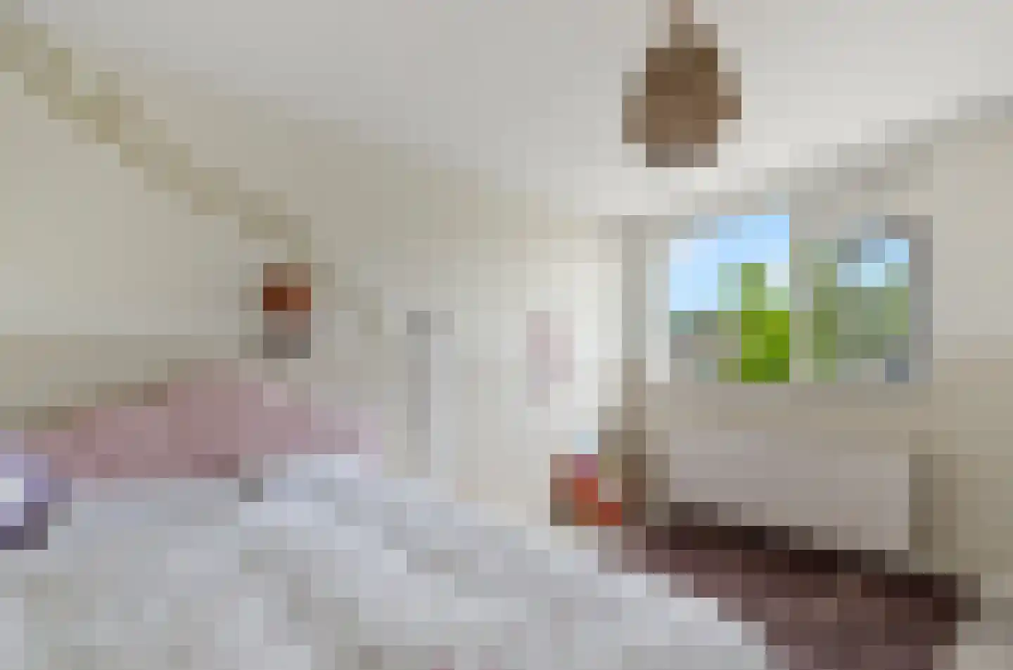 Duivenkamp 355 Maarssen thumbnail 37