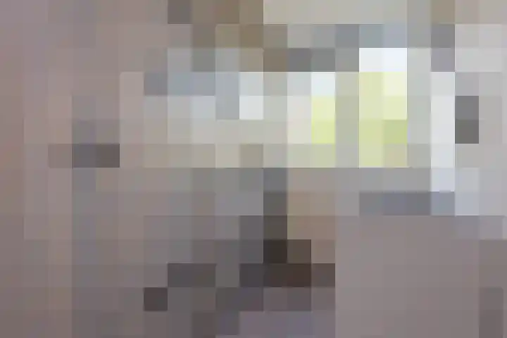 Duivenkamp 369 Maarssen thumbnail 19