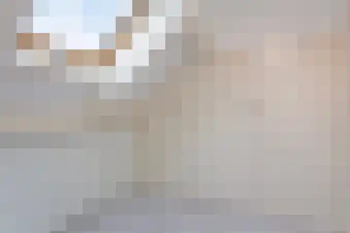 Duivenkamp 369 Maarssen thumbnail 29