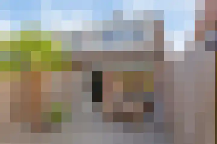 Duivenkamp 369 Maarssen thumbnail 34