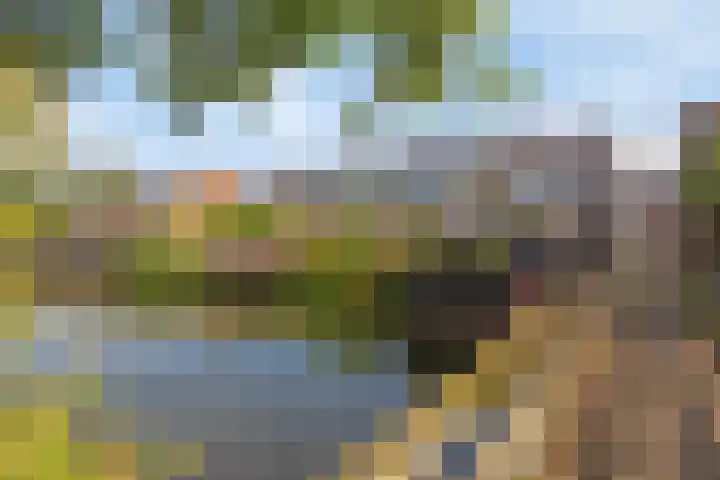Duivenkamp 369 Maarssen thumbnail 37