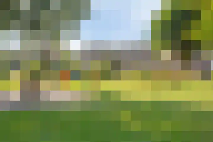 Duivenkamp 369 Maarssen thumbnail 39