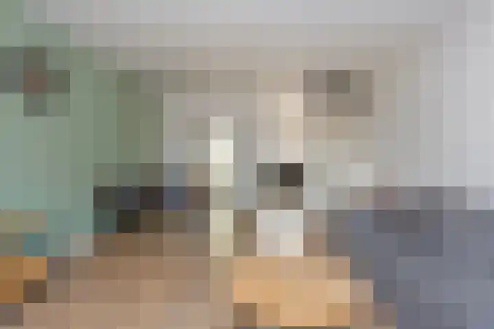Duivenkamp 369 Maarssen thumbnail 9