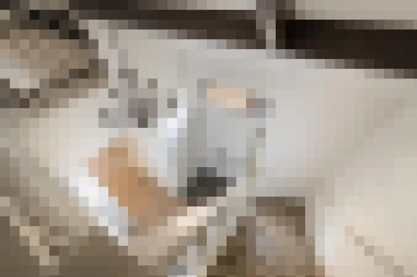 Duivenkamp 400 Maarssen thumbnail 22