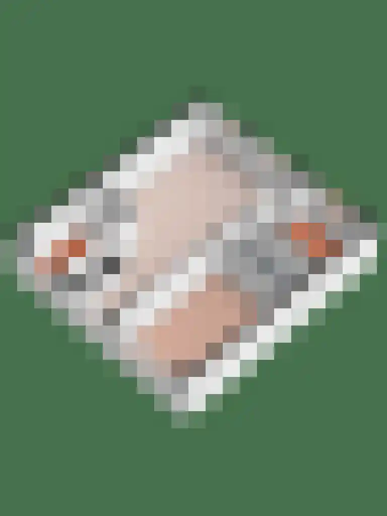 Duivenkamp 400 Maarssen thumbnail 35