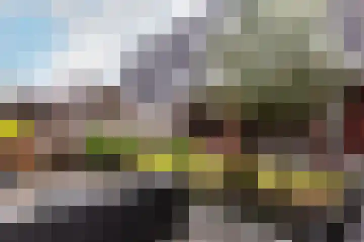 Duivenkamp 43 Harderwijk thumbnail 36