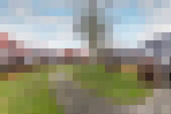 Duivenkamp 43 Harderwijk thumbnail 42
