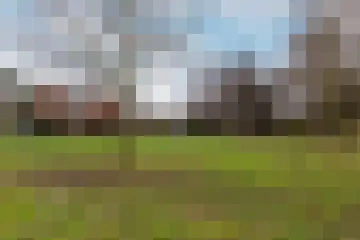 Duivenkamp 43 Harderwijk thumbnail 45